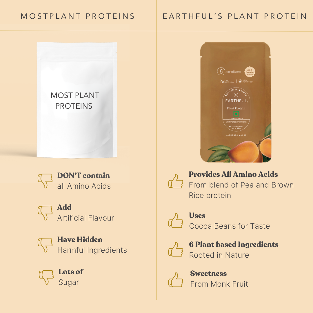 Plant Protein - Alphonso Mango