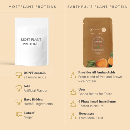 Plant Protein - Alphonso Mango