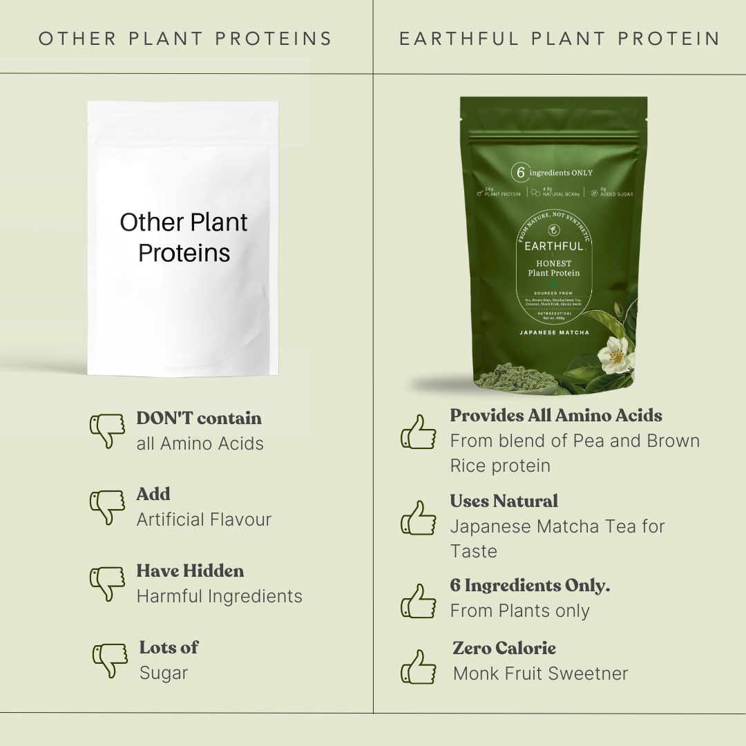 Honest Plant Protein - Japanese Matcha
