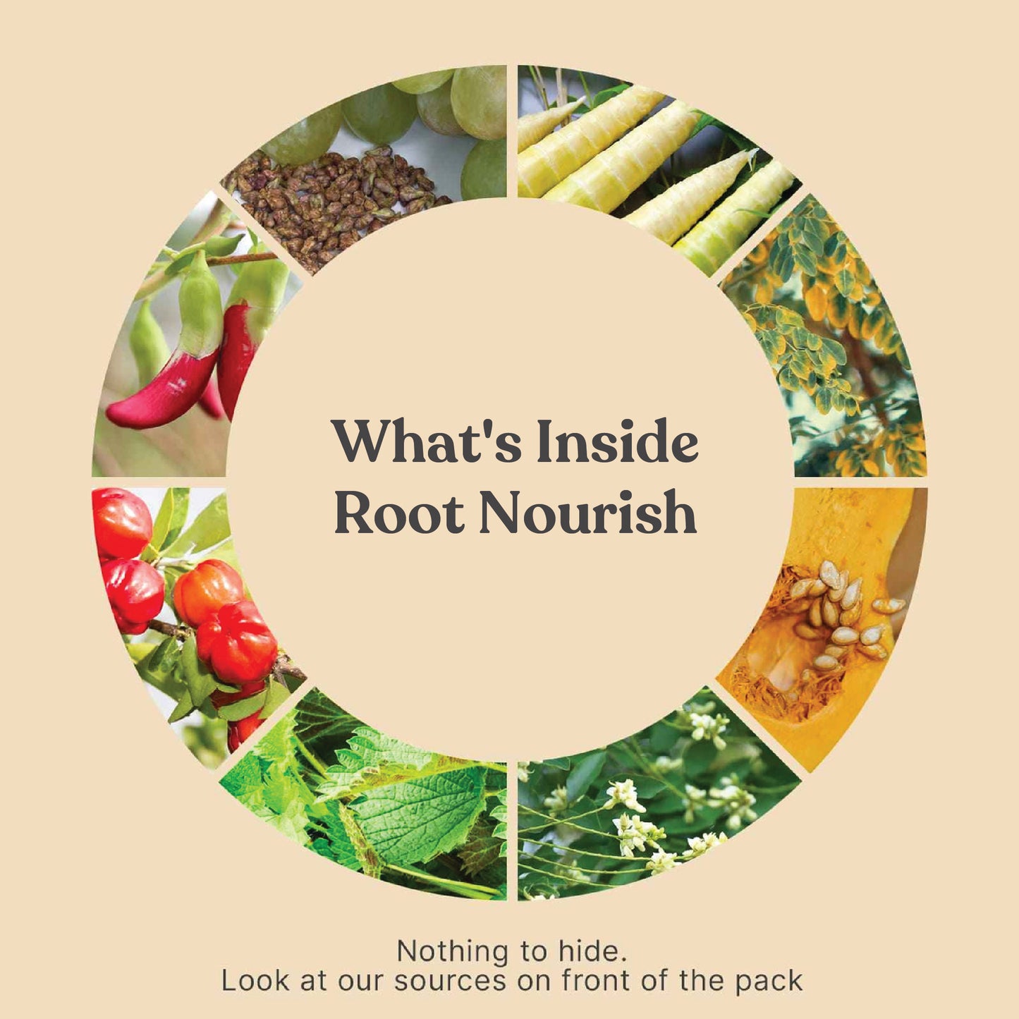 Root Nourish Capsules (Nutrition for Hair wellness)