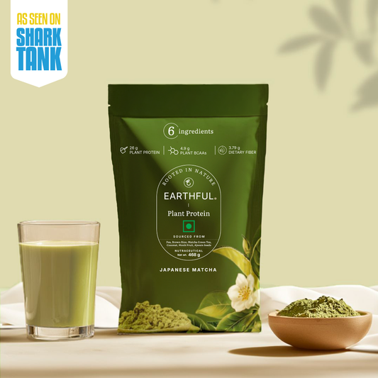 Plant Protein - Japanese Matcha